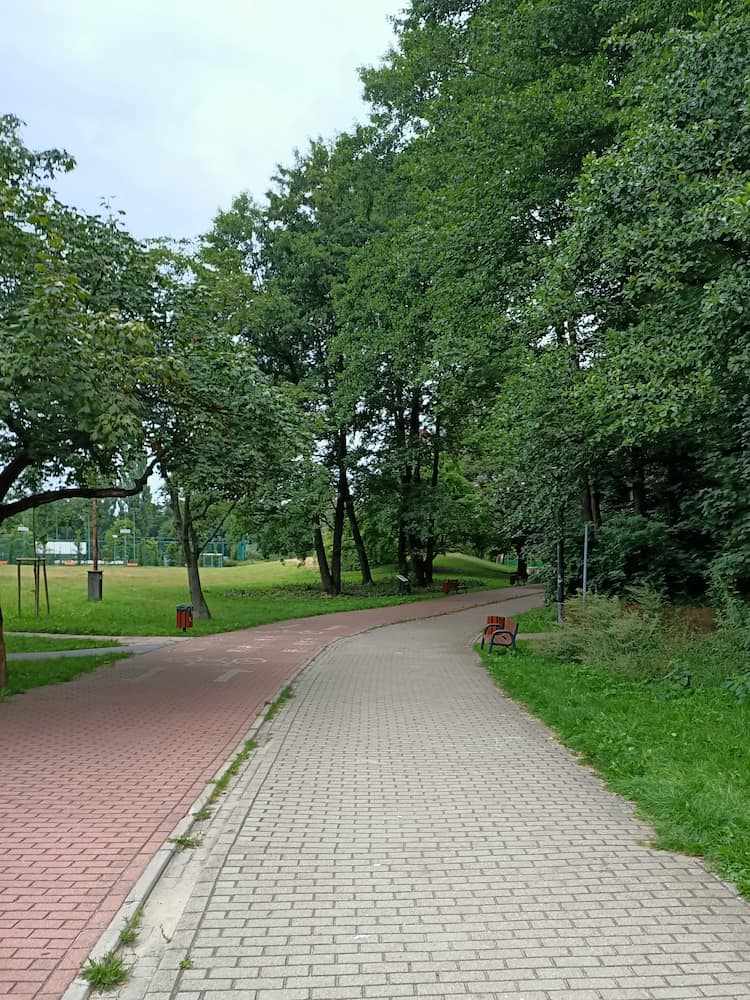 Park Olszyna