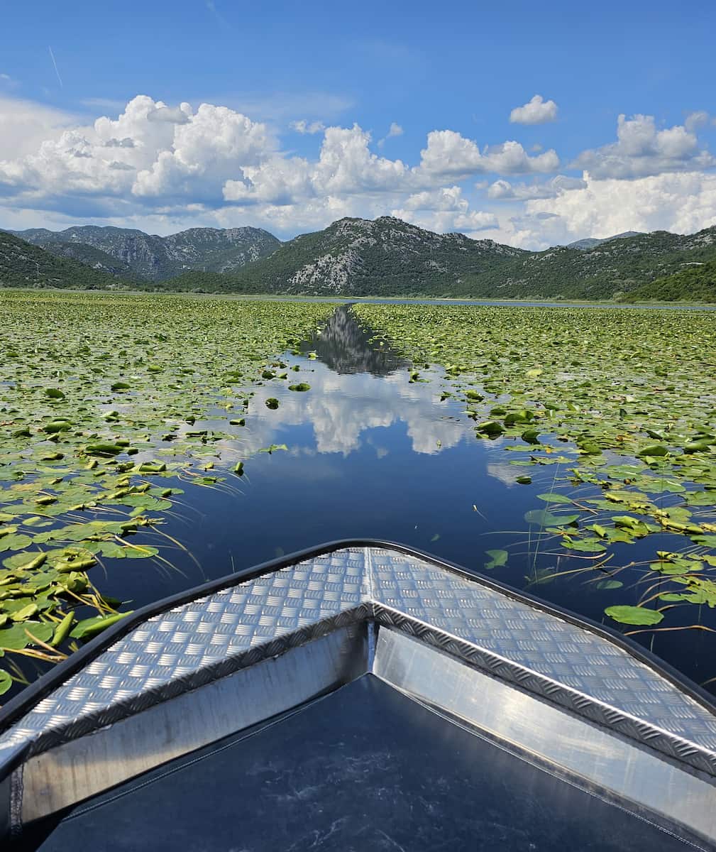 Lago di Skadar, Montenegro