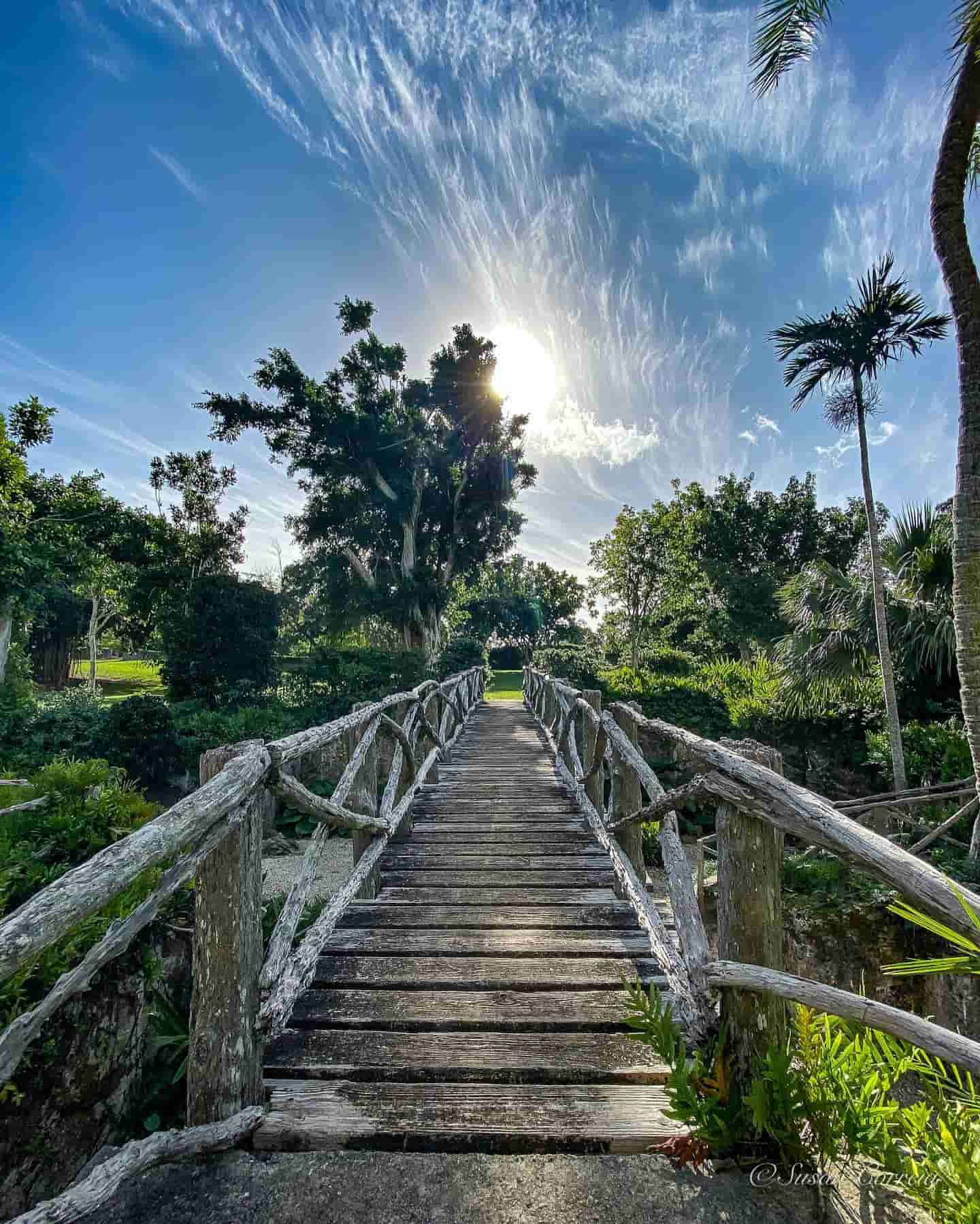 Arboreto delle Bermuda