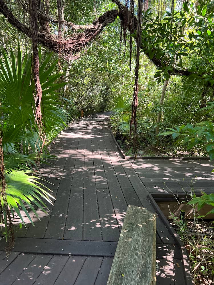 Foresta tropicale e giardino botanico di Key West