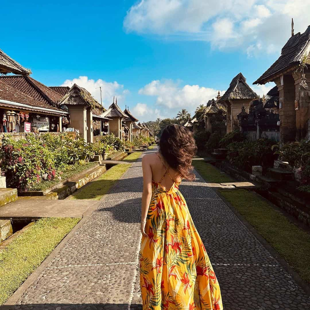 Penestanan, Ubud