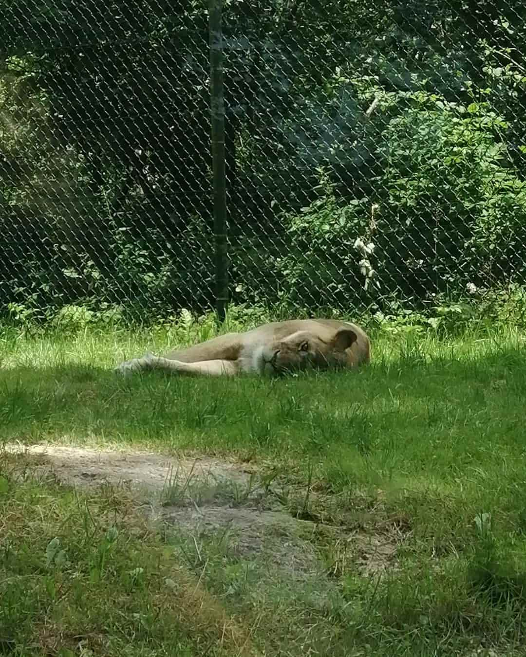 Salzburg Zoo